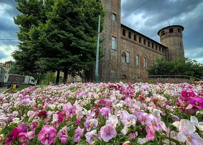 Carlo Alberto 4*